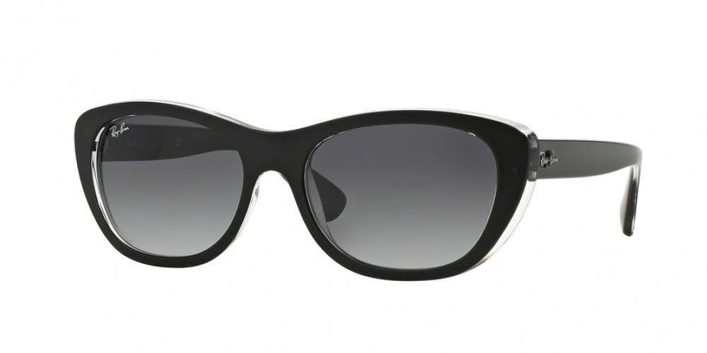 Ray-Ban 4227 Sunglasses