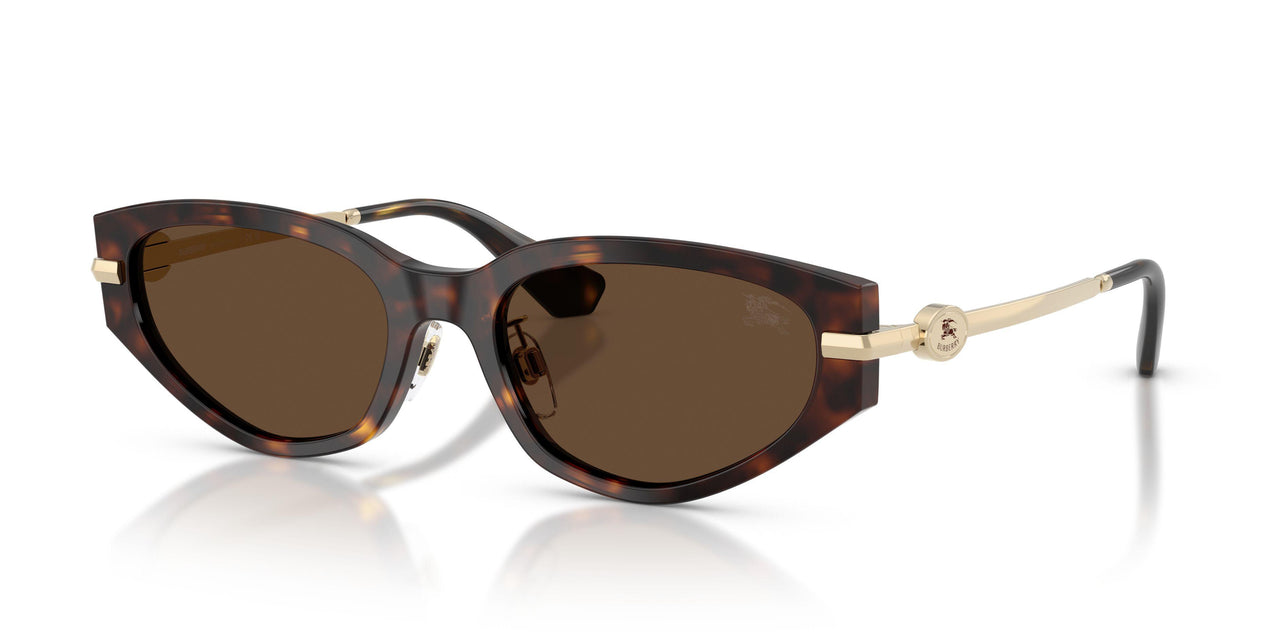 300273 - Brown - Dark Brown