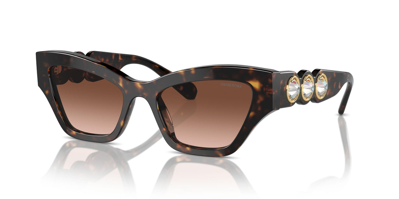 10023B - Tortoise - Gradient Brown