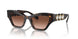 10023B - Tortoise - Gradient Brown