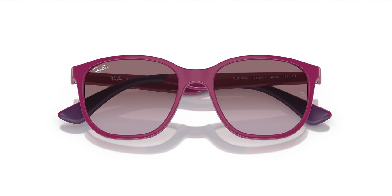 71498H - Fuchsia On Violet - Violet