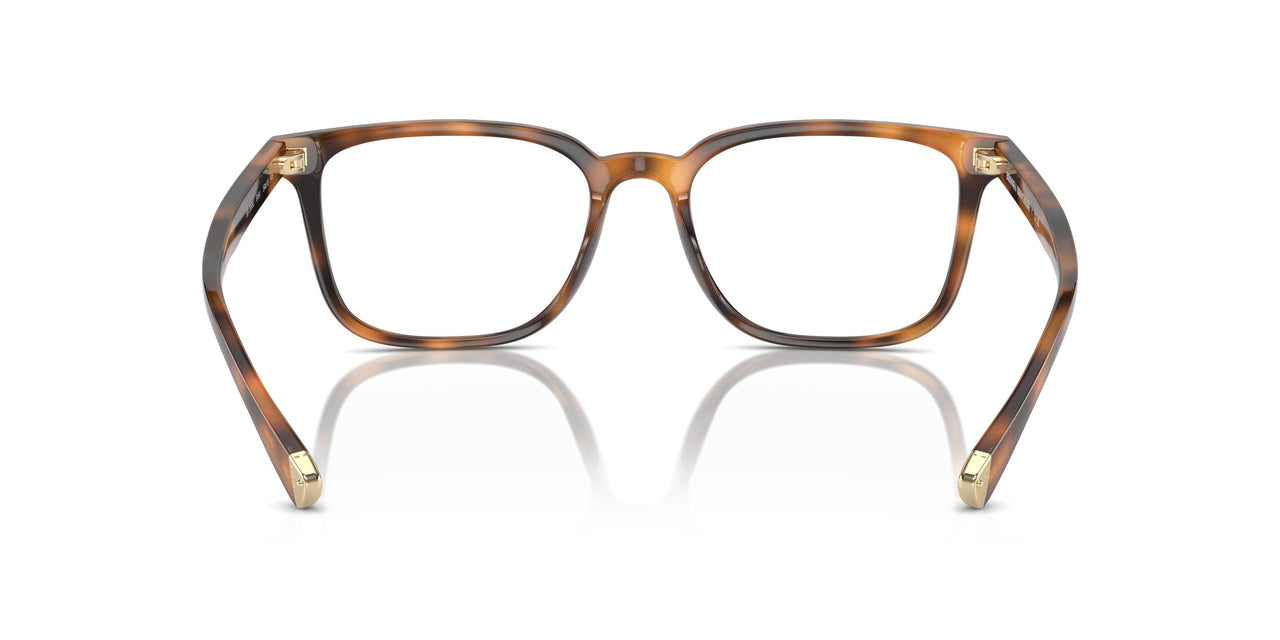 6161 - Tortoise