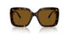 100283 - Tortoise - Polarized Brown
