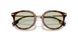 3002/2 - Brown - Light Green
