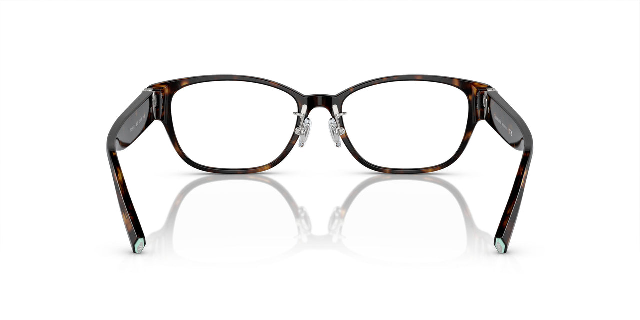 8015 - Tortoise