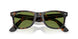 14134E - Tortoise - Green