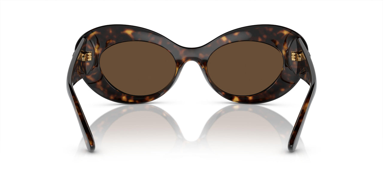 108/73 - Tortoise - Dark Brown