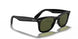 601/58 - Black - Green Polarized