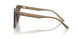 505173 - Brown - Dark Brown