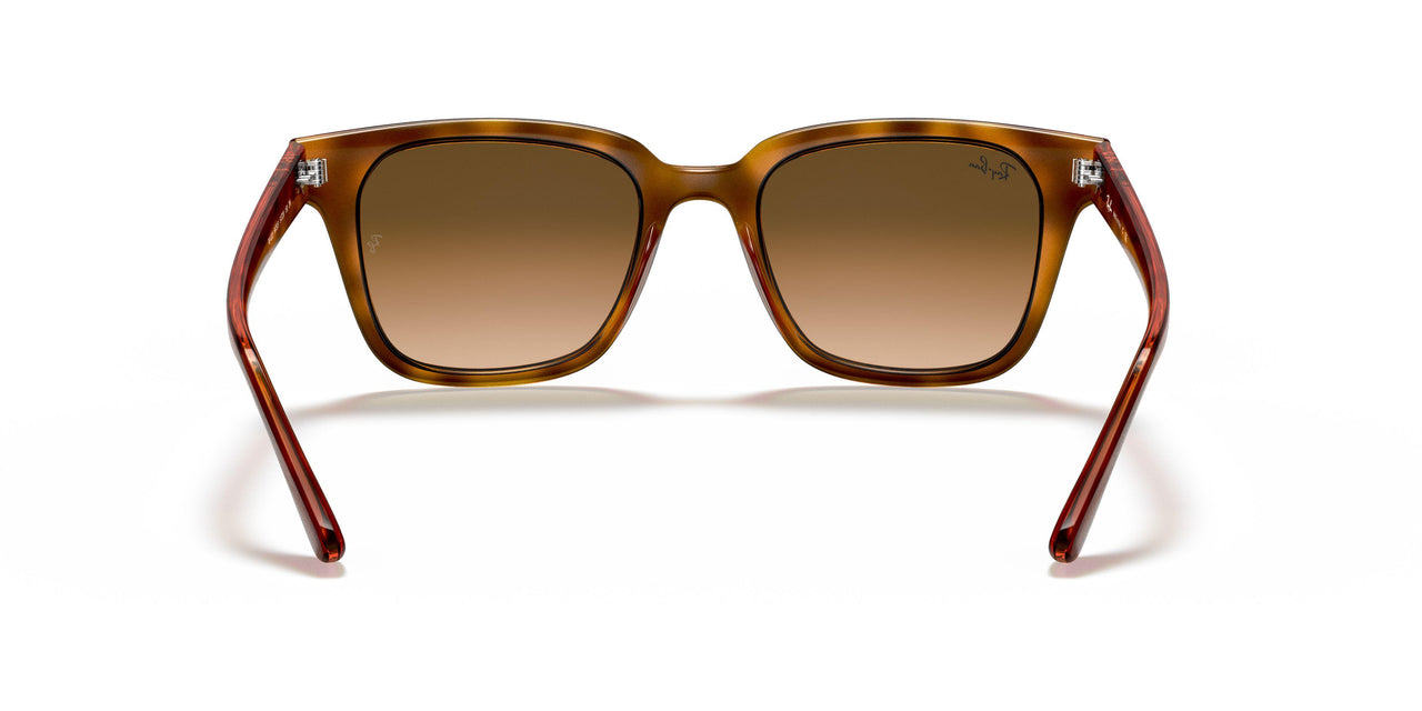 647551 - Yellow Light Havana - Clear Gradient Brown