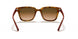 647551 - Yellow Light Havana - Clear Gradient Brown