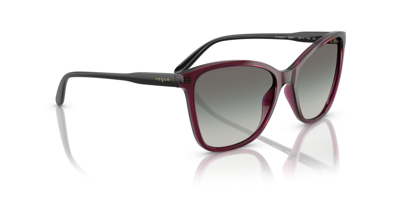 298911 - Violet - Gradient Grey