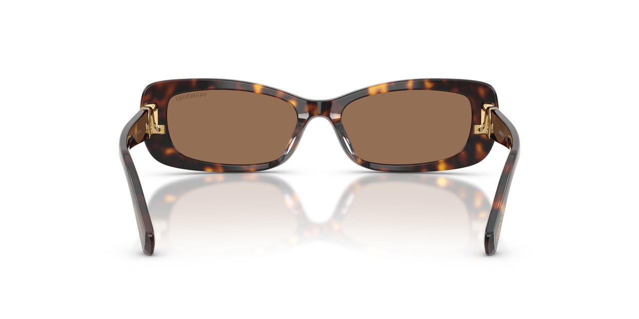 100273 - Tortoise - Dark Brown