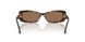 100273 - Tortoise - Dark Brown