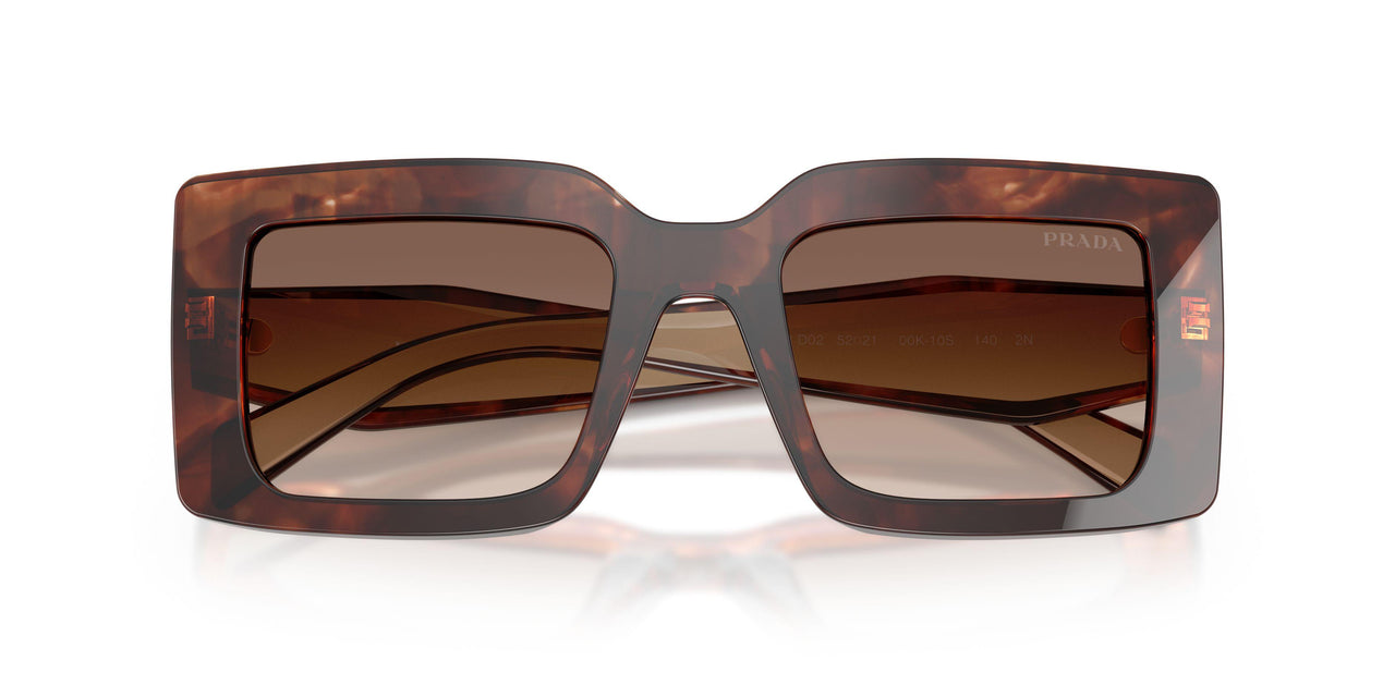 00K10S - Tortoise - Brown Gradient