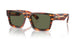 16S03R - Red - Green Polarized