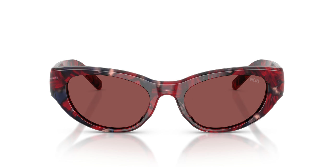 204075 - Tortoise - Dark Violet