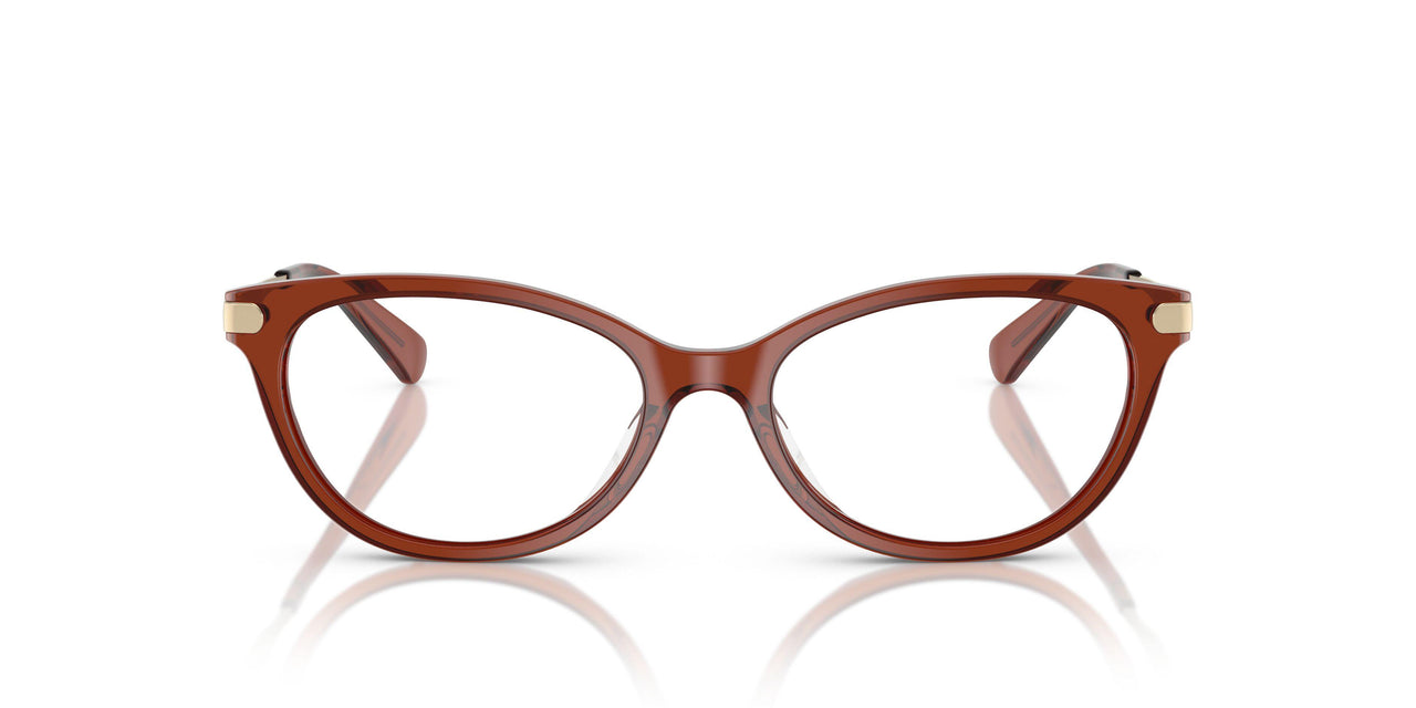5847 - Brown