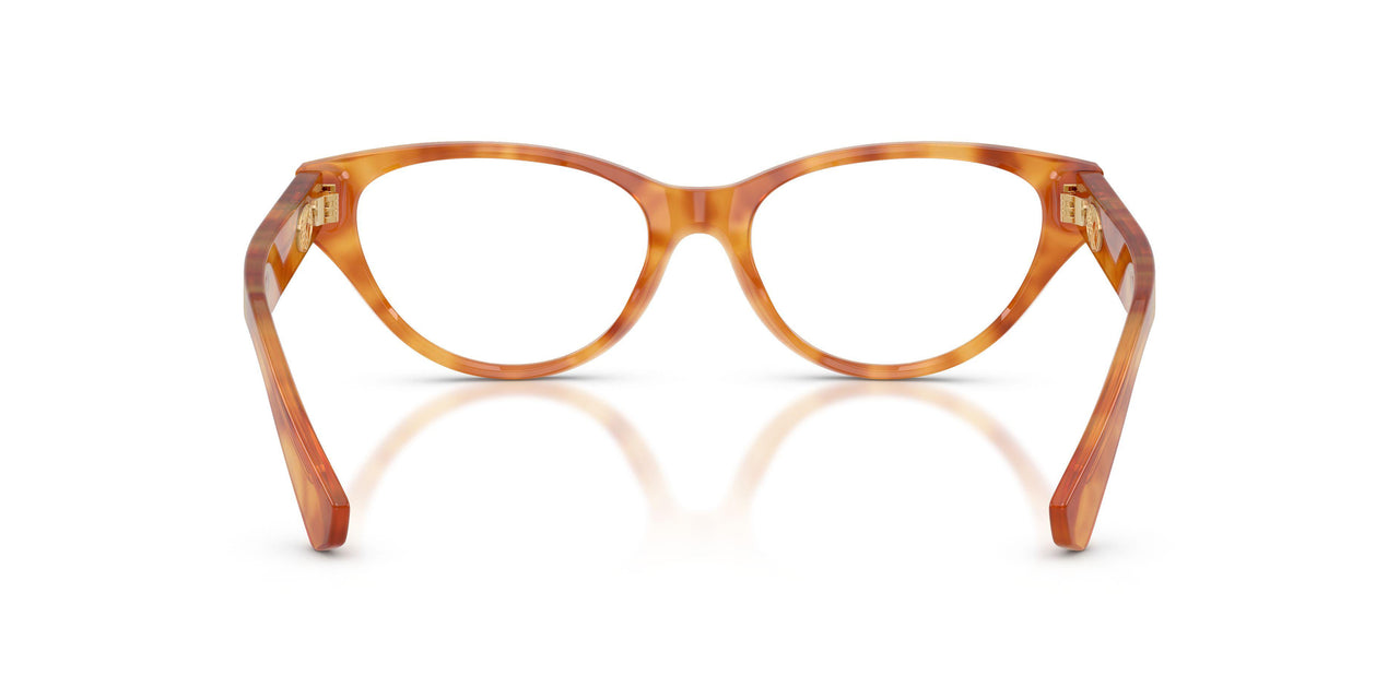 4256 - Tortoise