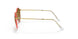 919651 - Red - Clear Gradient Brown