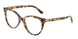 8064 - Tortoise