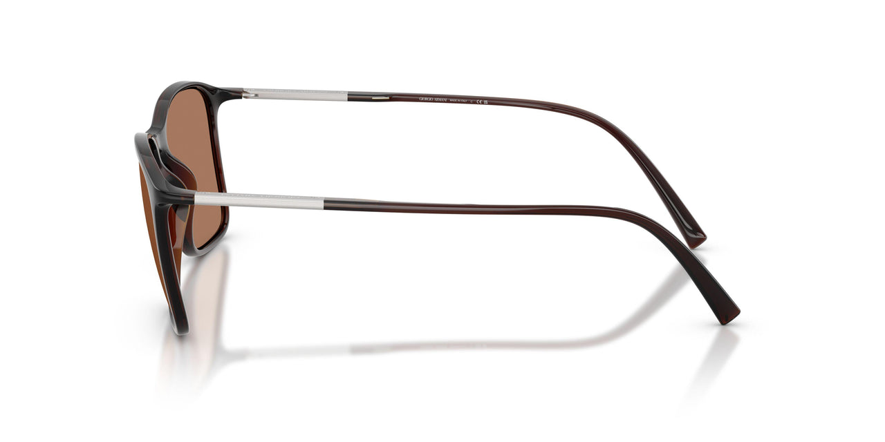 623973 - Brown - Brown
