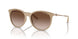 834213 - Brown - Gradient Brown