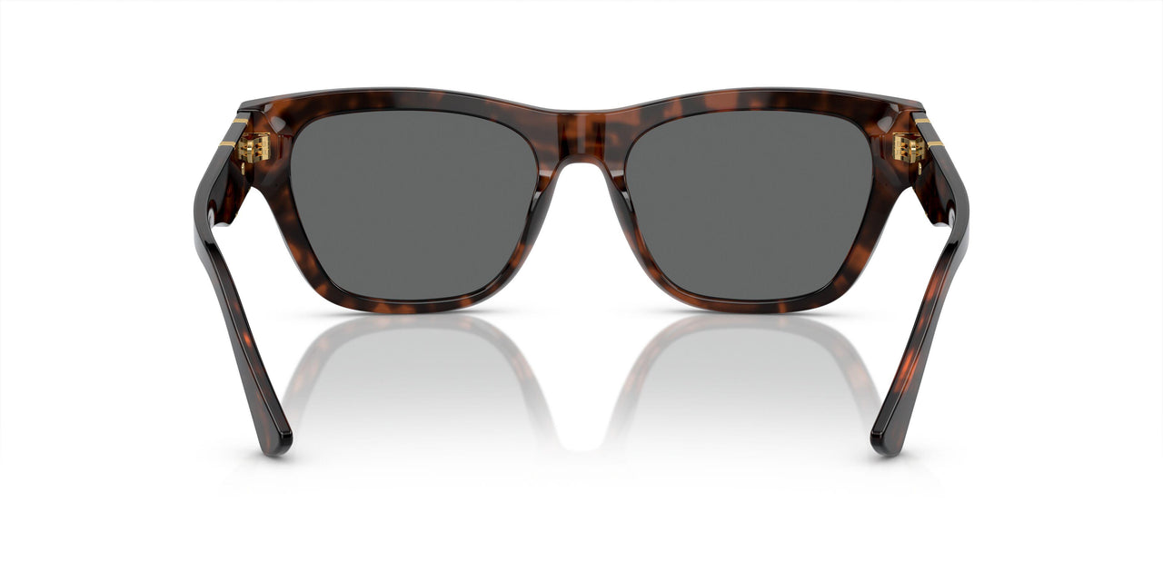 542987 - Tortoise - Dark Grey
