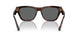 542987 - Tortoise - Dark Grey