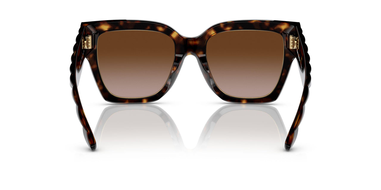 172813 - Havana - Brown Gradient