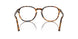 1052 - Tortoise - Clear