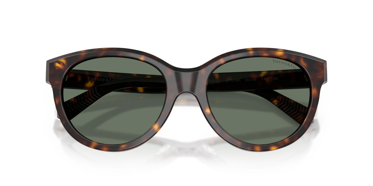 80153H - Tortoise - Dark Green
