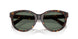 80153H - Tortoise - Dark Green