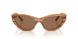 505573 - Brown - Dark Brown