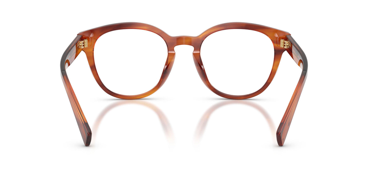 3221 - Brown
