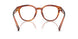 3221 - Brown