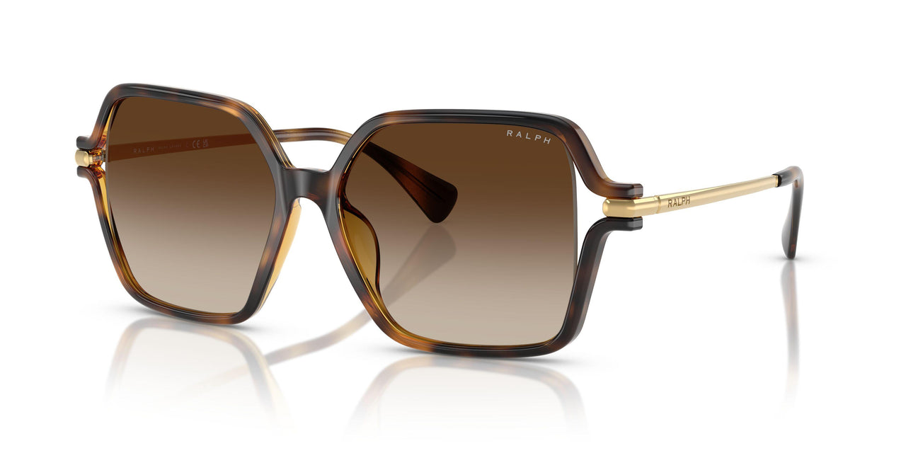 500313 - Tortoise - Gradient Brown