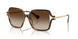 500313 - Tortoise - Gradient Brown