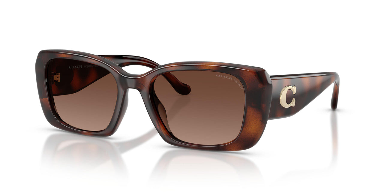 5120T5 - Tortoise - Brown Gradient Polar