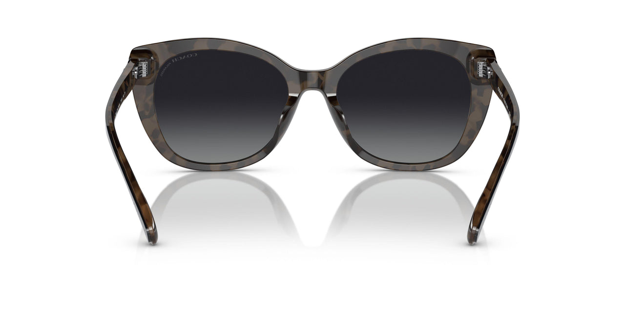 5764T3 - Black - Grey Gradient Polar