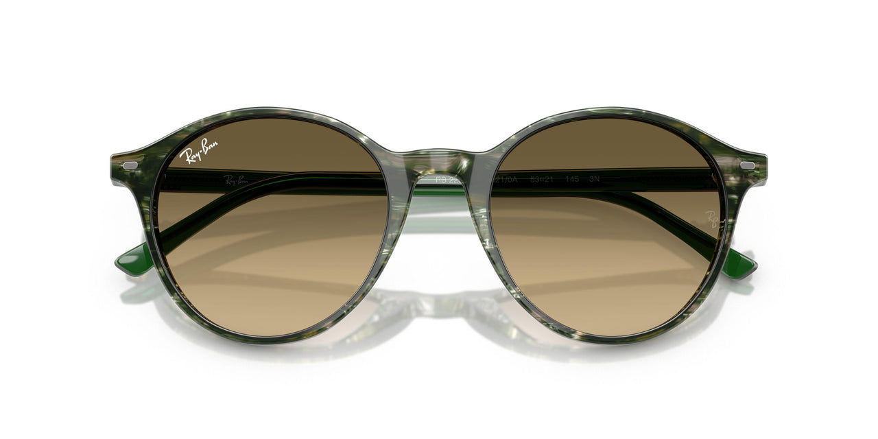 14210A - Multicolor - Brown