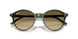 14210A - Multicolor - Brown