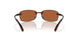 907103 - Tortoise - Green 580p