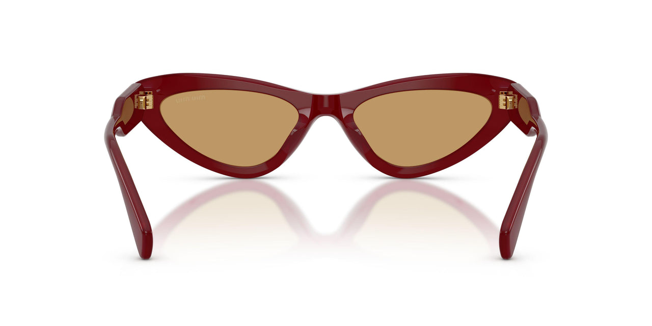 21I10Y - Violet - Brown
