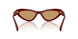 21I10Y - Violet - Brown