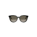 01F - Shiny Black - Brown Gradient