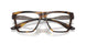 201102 - Tortoise