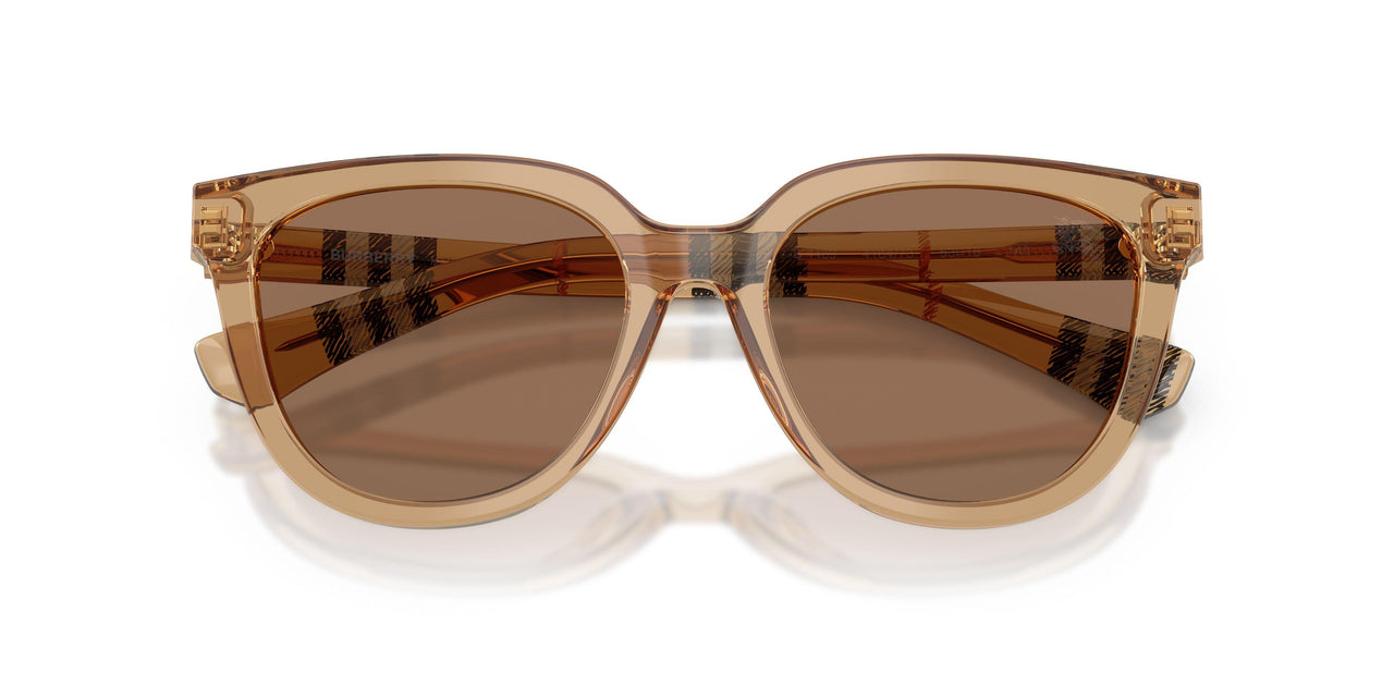 416473 - Beige - Dark Brown