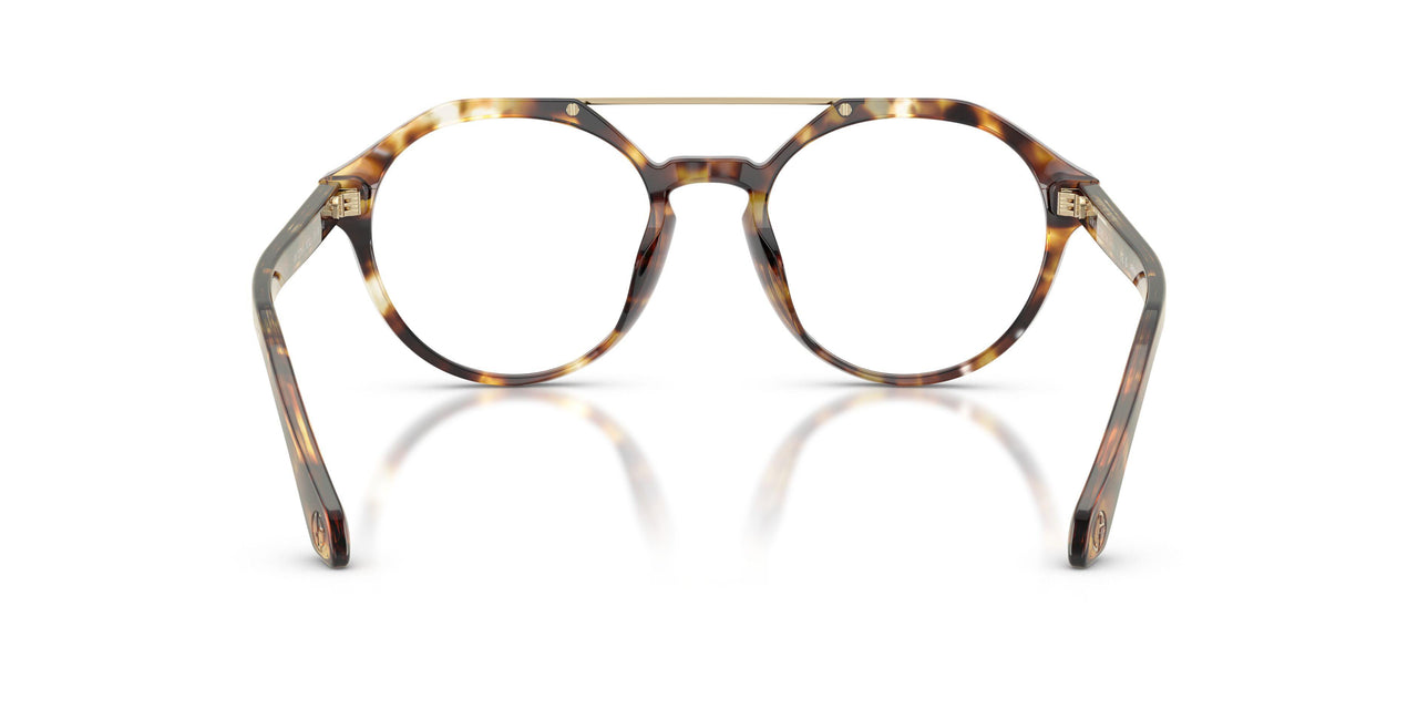 6232 - Tortoise