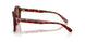 593873 - Tortoise - Brown Solid